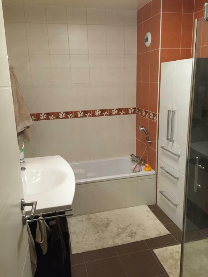 Appartement Des Trois Frontieres Apach Ngoại thất bức ảnh